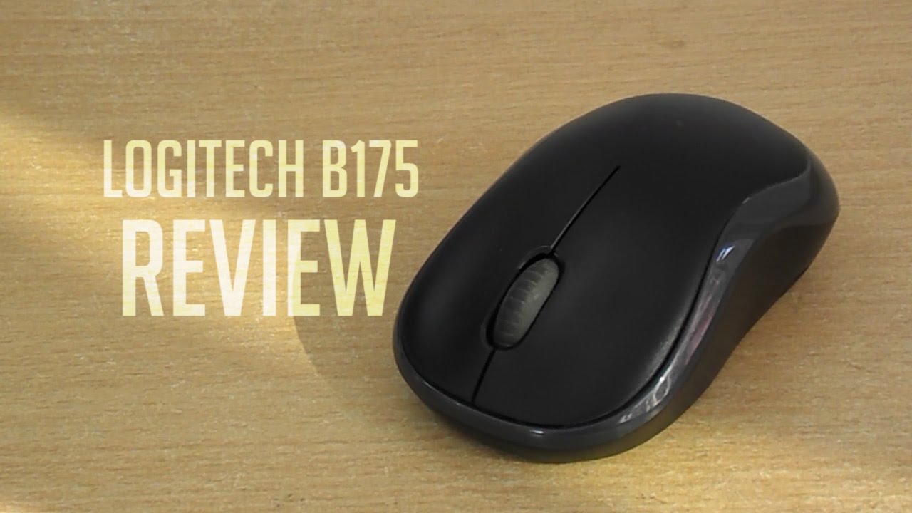 Chuột không dây Logitech Wireless Mouse B175