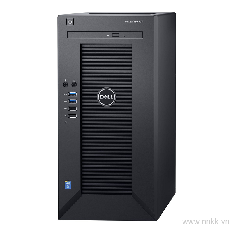 Server Dell T30 Tower - 70093749