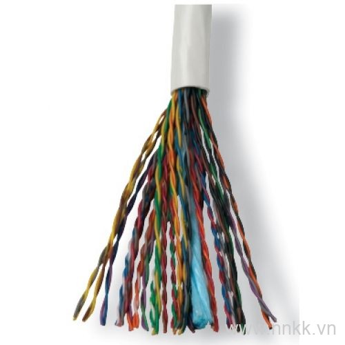 Cáp mạng UTP Cable,Cat5,25 Prs,24AWG,CMR,Wht,305m RL