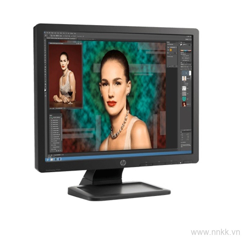 Màn hình máy tính HP ProDisplay 19PA - 19 inch vuông