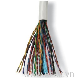 Cáp mạng UTP Cable,Cat5,25 Prs,24AWG,CMR,Wht,305m RL